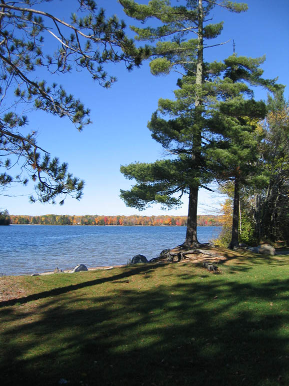 Looking North » Lake Lucerne Advancement Association